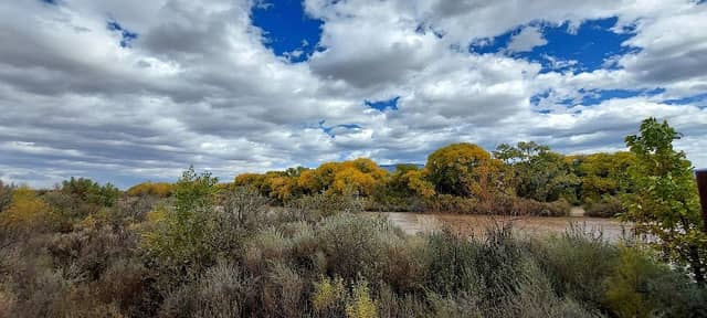 Los Milagros Park - Image 2