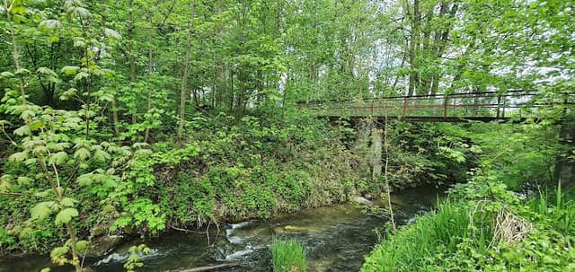 Treffpunkt feiner Geister - Image 2