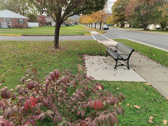 Green Avenue Park - Image 1