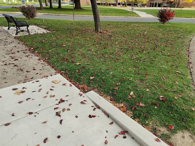 Green Avenue Park - Image 2