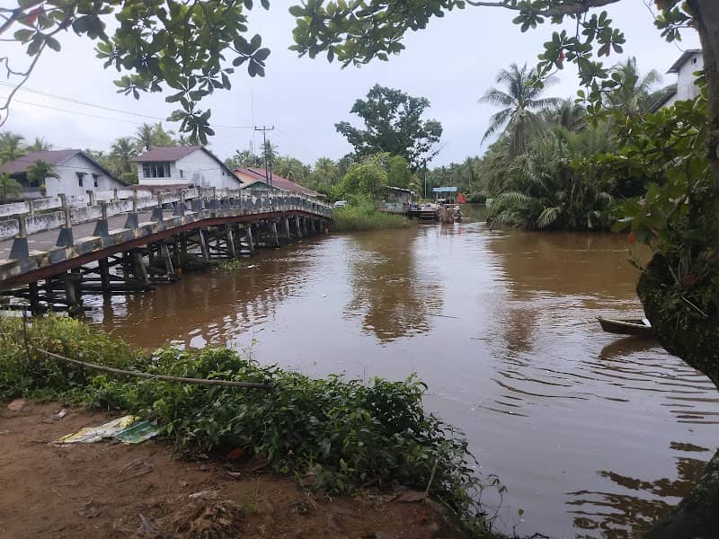 Jeruju Kecil laut - Image 1