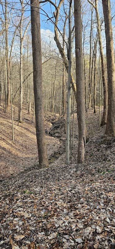 Rock Run Preserve - Image 1