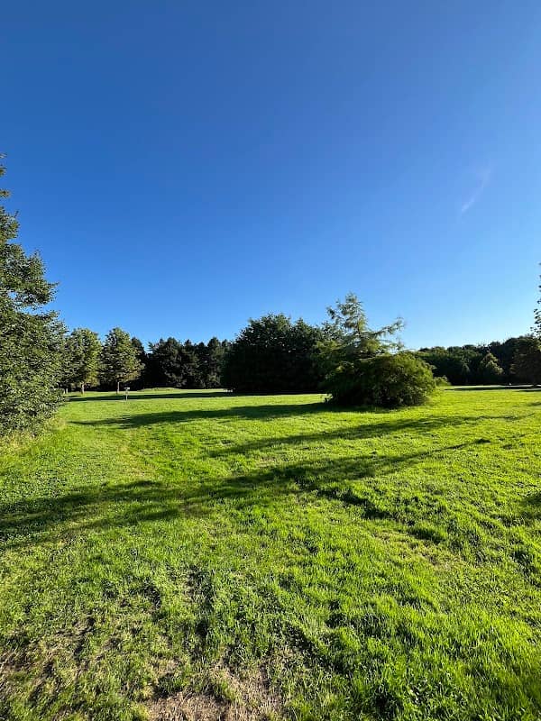 Spendenbäume im West Park - Image 1