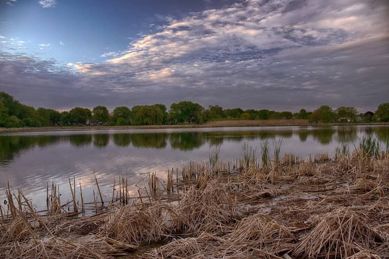 Gray Farm Park & Conservation Area - Image 3