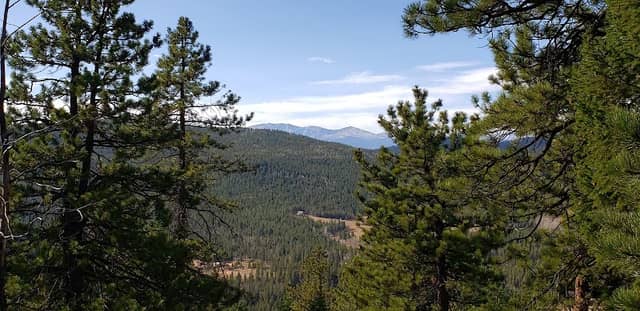 Blue Grouse Trail - Image 1