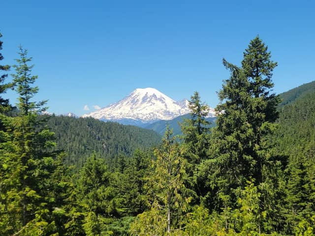 Observation Site: Mt. Rainier-Goat Rocks - Image 1