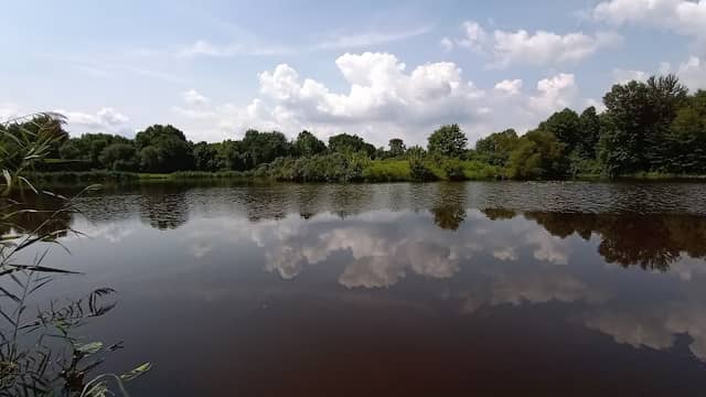 Brook Wildlife Area - Image 1