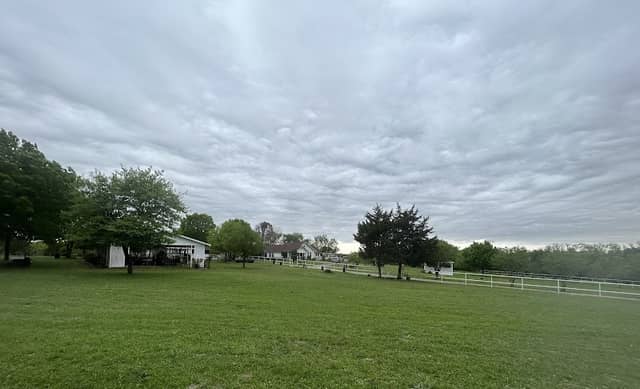 Morney Berry Farm - Image 2