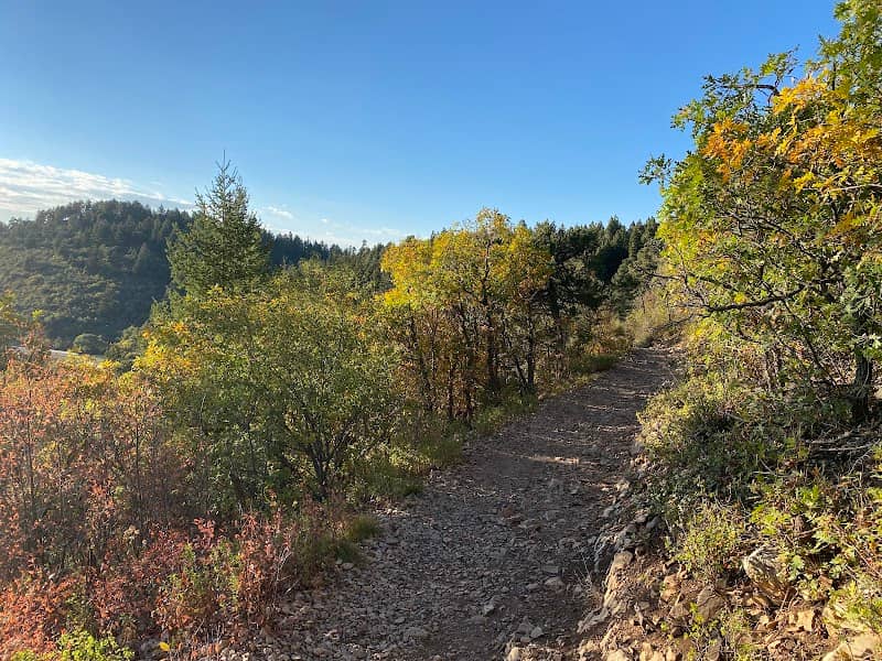 Osha Trail Trailhead - Image 3