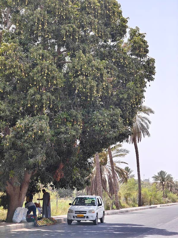 شارع حيل الغاف - Image 1