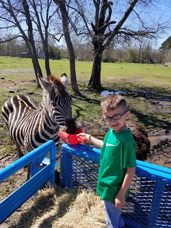 Jubilee Zoo Mobile Services & Brandi’s Barnyard - Image 2