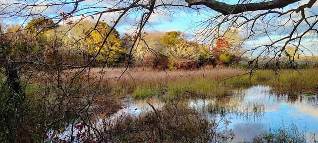 Jenkin’s Wildlife Sanctuary - Image 1