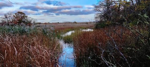 Jenkin’s Wildlife Sanctuary - Image 2