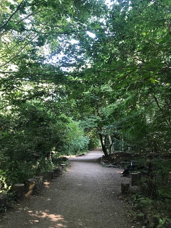 Gunton Wood - Image 1