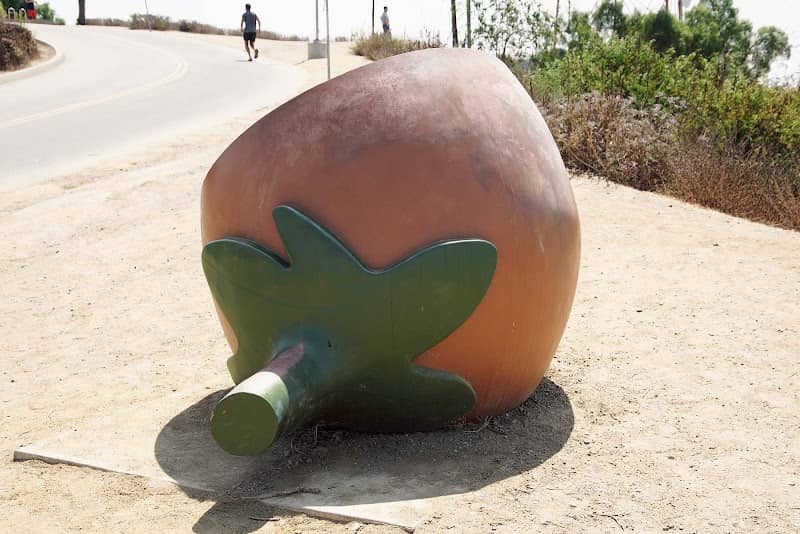 Citizen Seeds Site 6 - Image 3