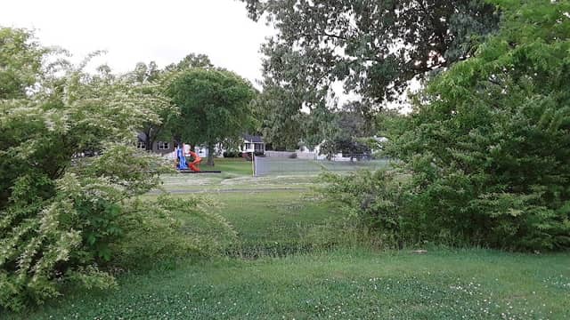 Wolfe Park - Image 2