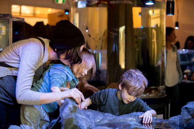 Tidepools Aquarium - Image 1