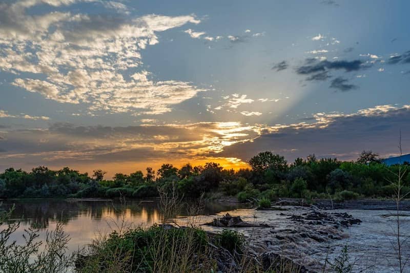 Rio Rancho/Corrales Bosque Preserve - Image 1