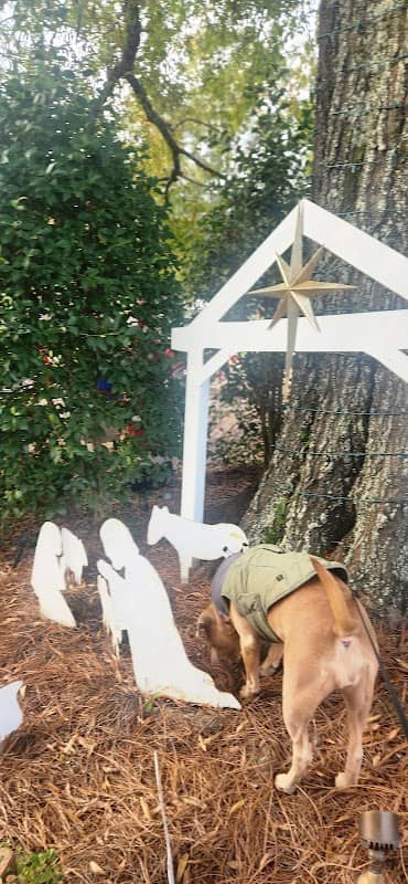 Sanctuary Park - Image 3