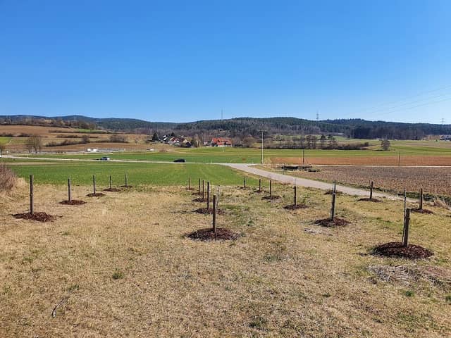 Kalvarienberg - Image 2