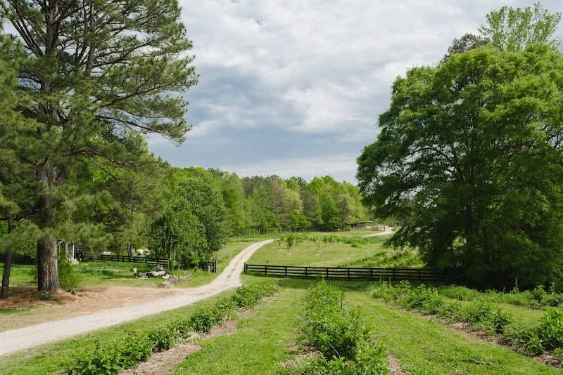 Serenbe Farms - Image 2