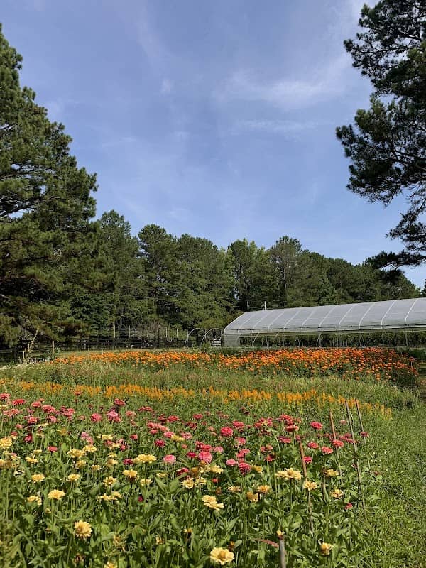 Serenbe Farms - Image 3