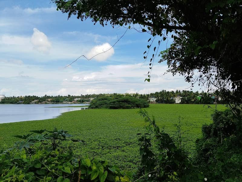 View Point Bird Sanctuary - Image 1