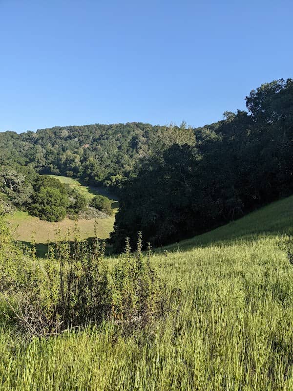 Panorama Trail - Image 3