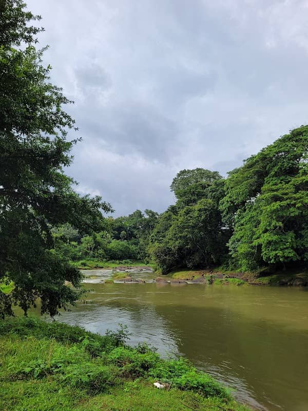 Kulathupuzha River Spot - Image 1