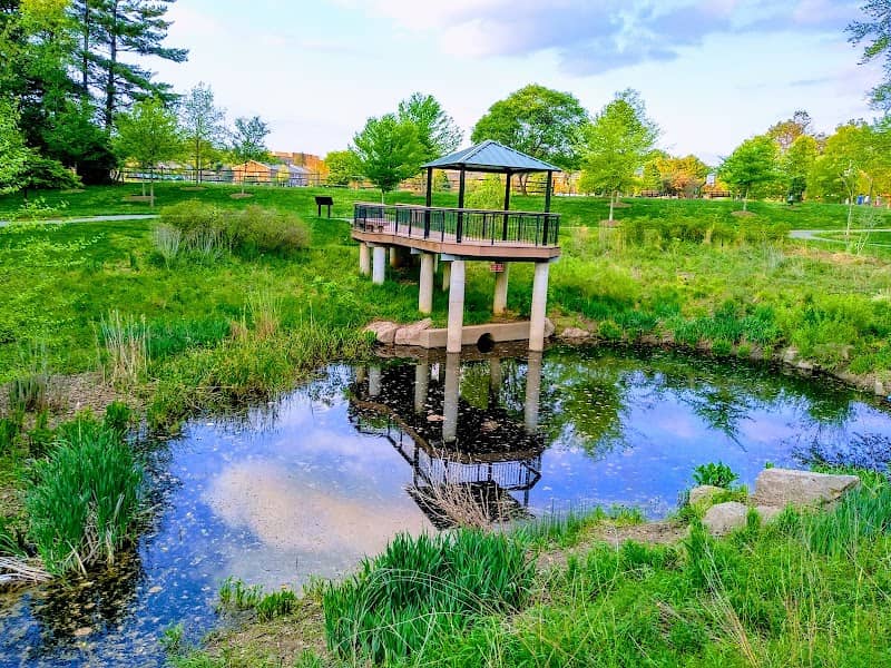 College Gardens Park - Image 1