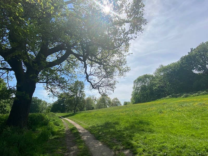 Priory Park - Image 1
