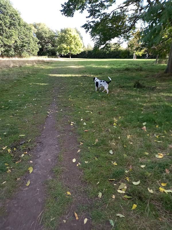Priory Park - Image 2