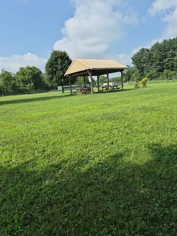 Gambier Dog Park - Image 2