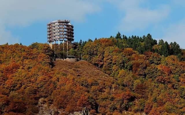 Treetop Walk Saarschleife - Image 1
