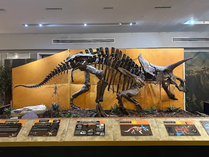 The Palm Beach Museum of Natural History - Image 1