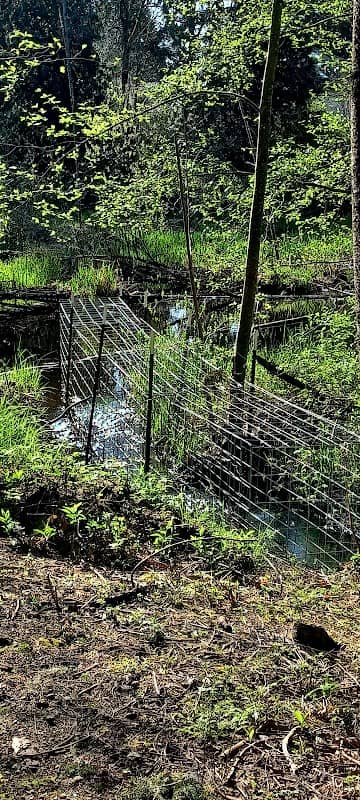 Holly Nature Park - Image 2