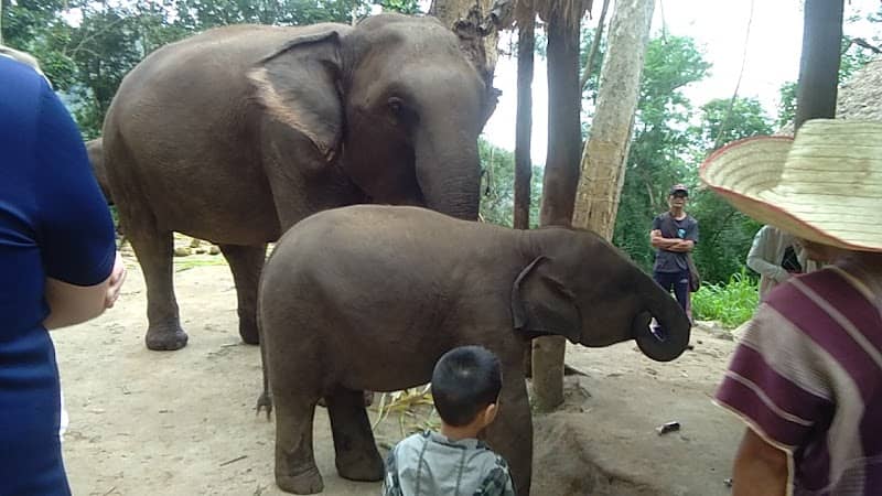 น้ำตกแก้วตาช้าง - Image 1