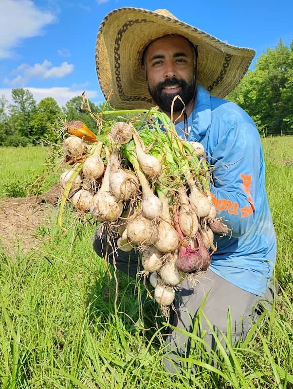 Good Food Farm - Image 2
