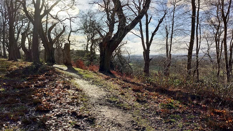 Piper's Hill & Dodderhill Common (Hanbury Woods) - Image 1