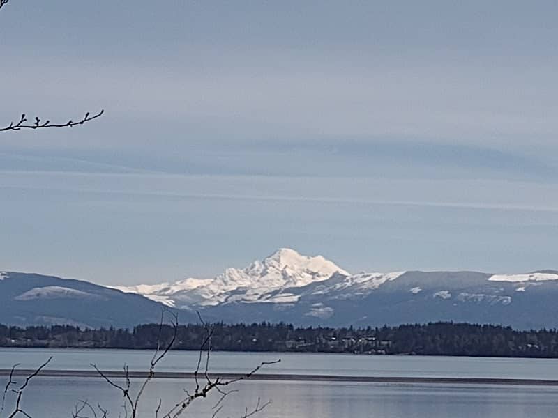 Mt. Baker Vantage Point at Padilla Bay - Image 1