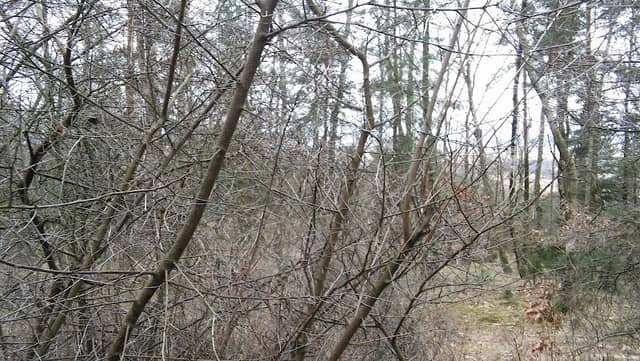 Góra Czubatka - Image 1