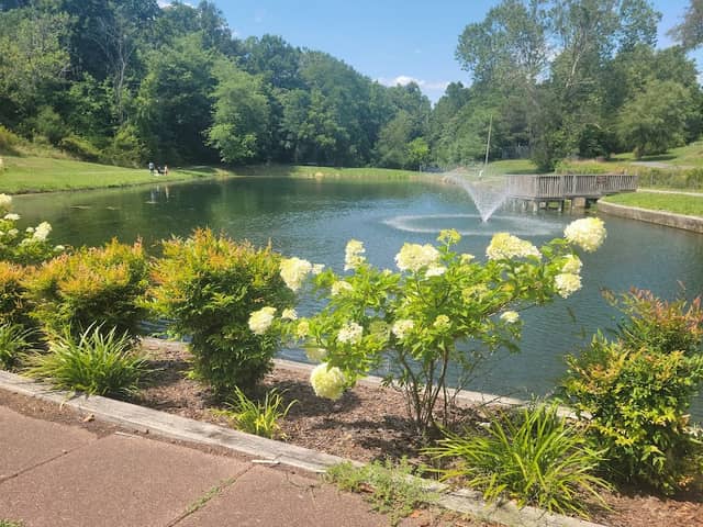 Prospect Park - Image 1