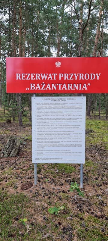 Rezerwat przyrody Bażantarnia - Image 1