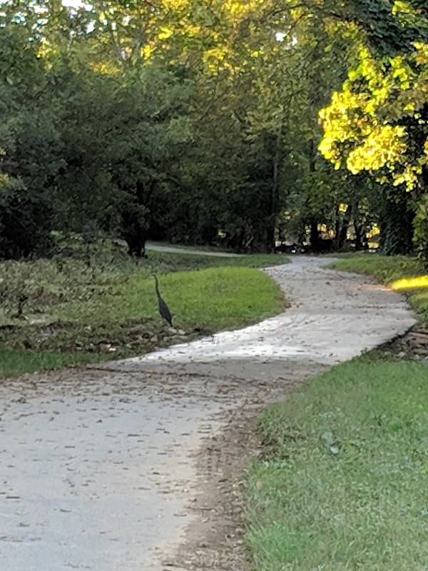 Riverside Park - Image 2