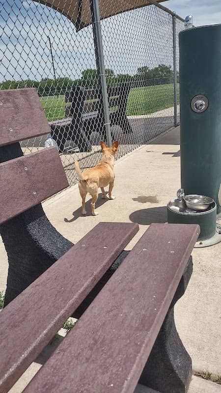 Haysville Dog Park At Dorner Park - Image 1