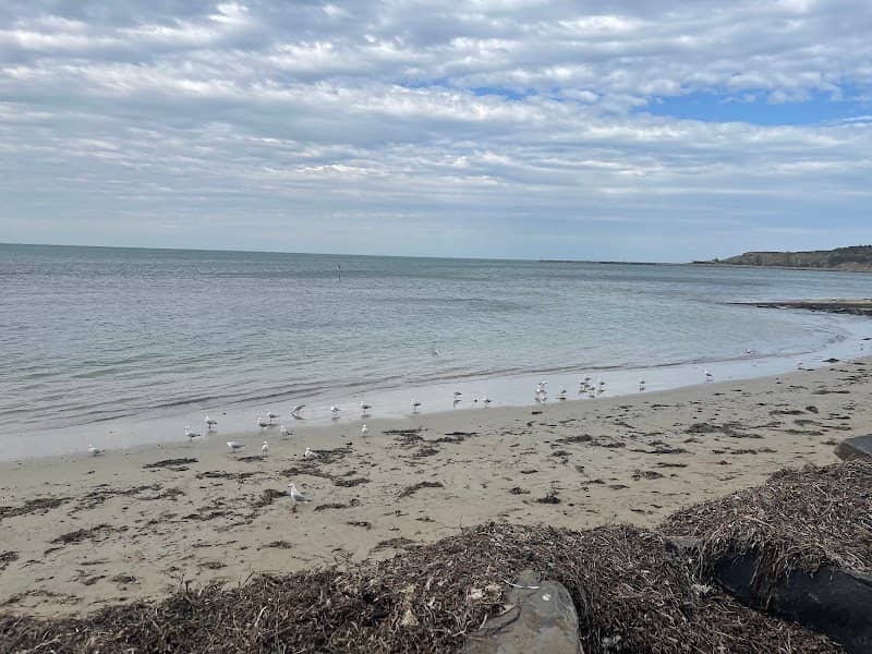 Victor Harbor Foreshore Amphitheatre - Image 2