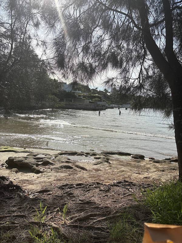 Radar's Rockpool - Image 3