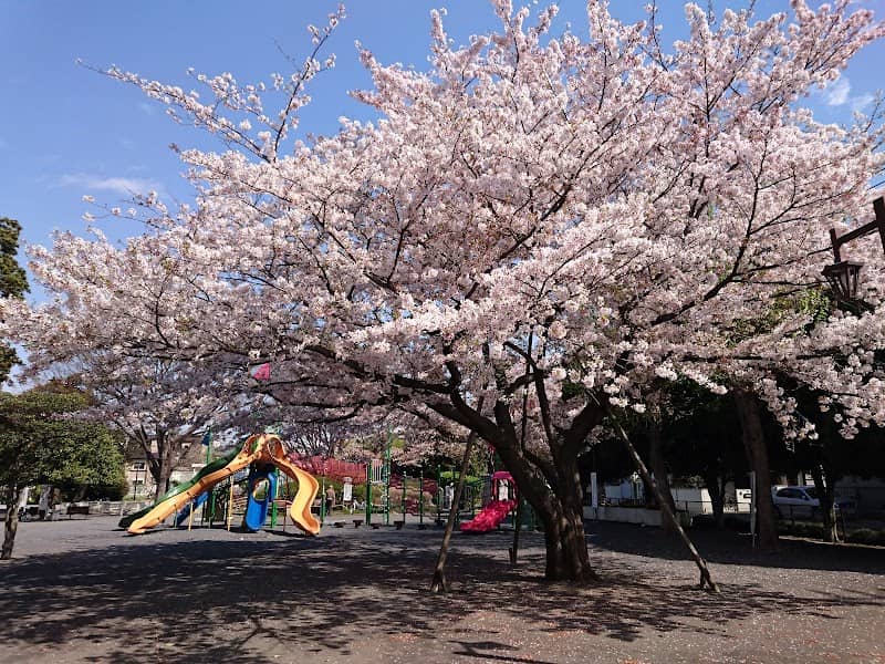 Chihaya Flower Park - Image 2