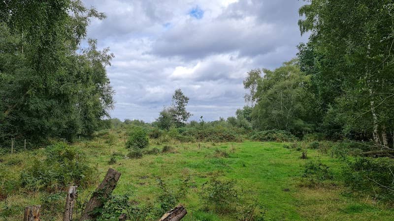 Ancells Farm Nature Reserve - Image 1