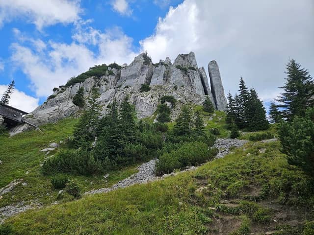 Plankenstein - Image 1